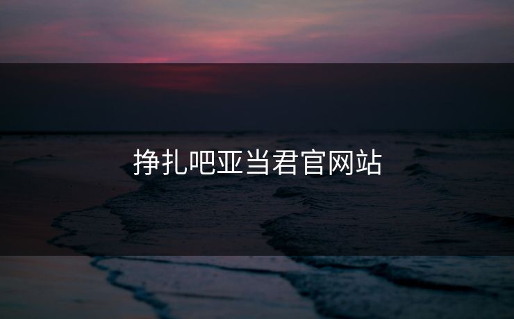 挣扎吧亚当君官网站