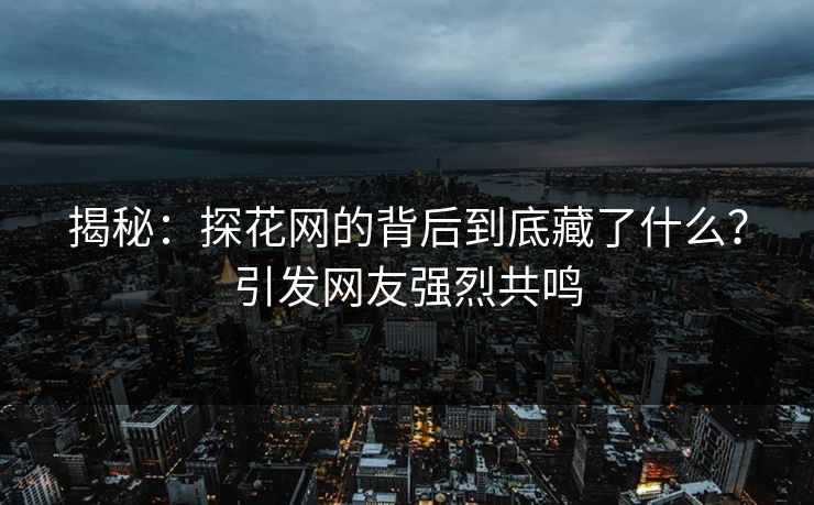 揭秘：探花网的背后到底藏了什么？引发网友强烈共鸣