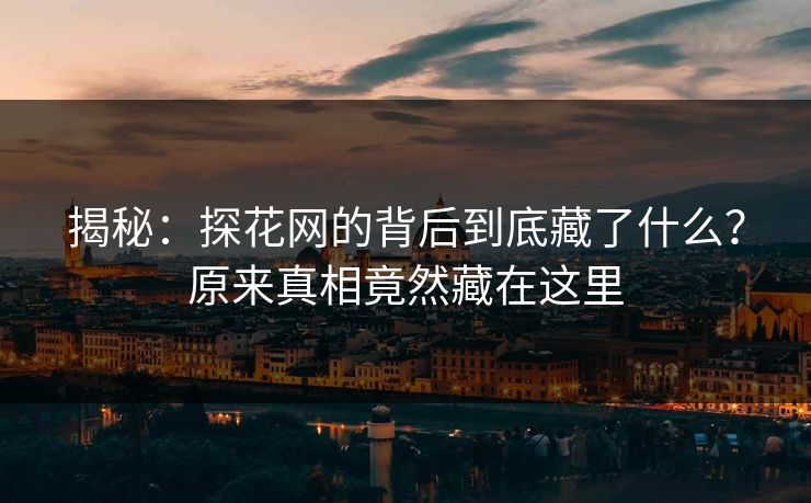 揭秘：探花网的背后到底藏了什么？原来真相竟然藏在这里