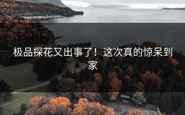 极品探花又出事了！这次真的惊呆到家