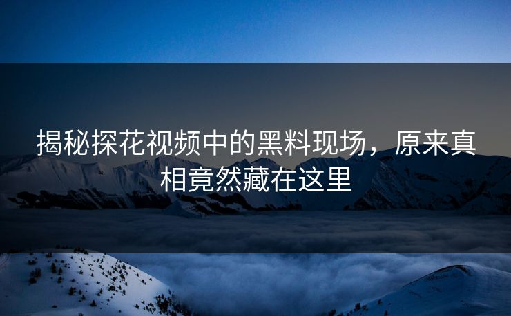 揭秘探花视频中的黑料现场，原来真相竟然藏在这里
