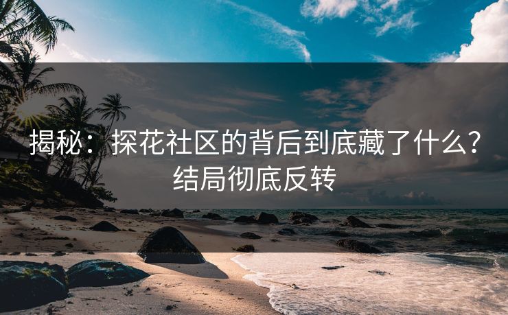 揭秘：探花社区的背后到底藏了什么？结局彻底反转