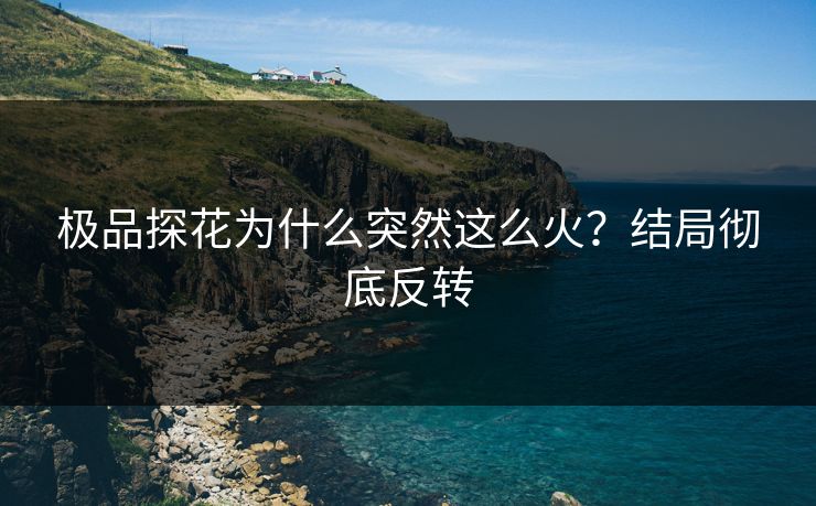 极品探花为什么突然这么火？结局彻底反转