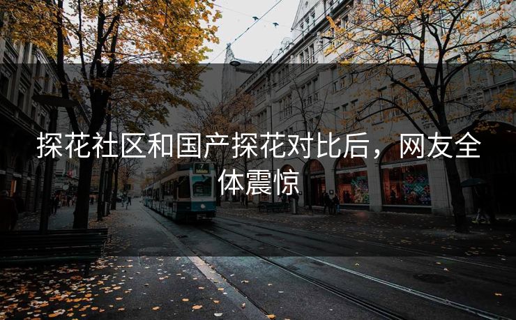 探花社区和国产探花对比后，网友全体震惊