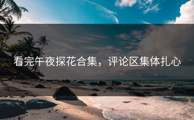 看完午夜探花合集，评论区集体扎心