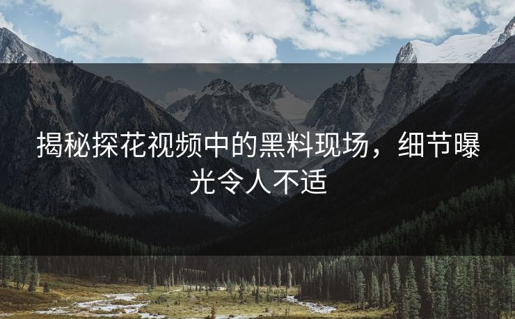 揭秘探花视频中的黑料现场，细节曝光令人不适