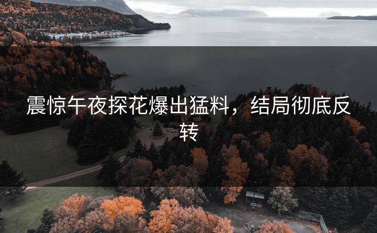 震惊午夜探花爆出猛料，结局彻底反转