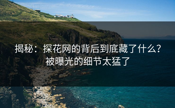 揭秘：探花网的背后到底藏了什么？被曝光的细节太猛了