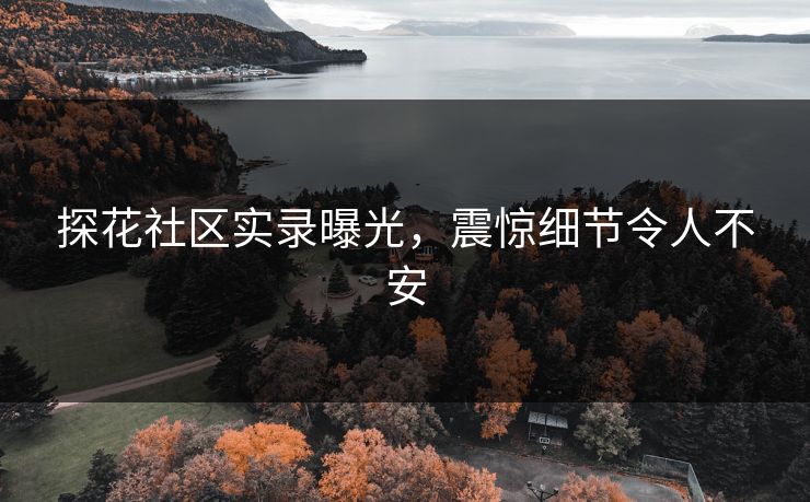探花社区实录曝光，震惊细节令人不安