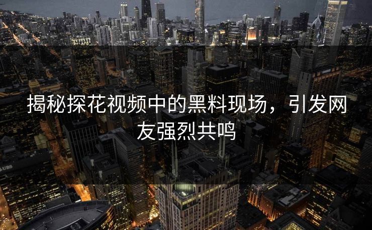 揭秘探花视频中的黑料现场，引发网友强烈共鸣