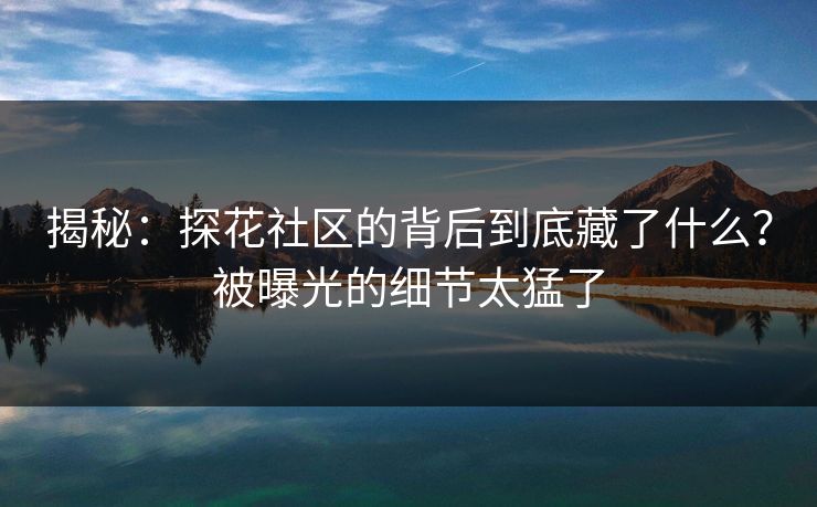 揭秘：探花社区的背后到底藏了什么？被曝光的细节太猛了