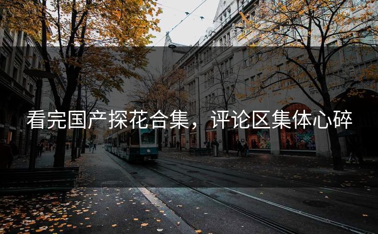 看完国产探花合集，评论区集体心碎