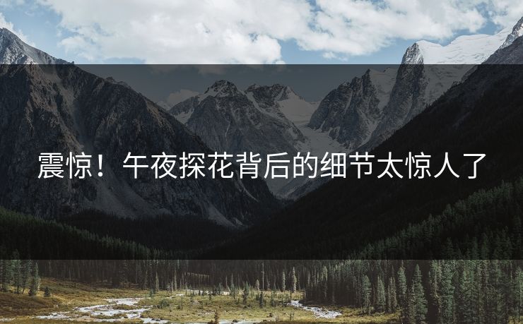 震惊！午夜探花背后的细节太惊人了