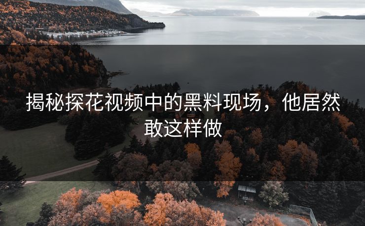 揭秘探花视频中的黑料现场，他居然敢这样做