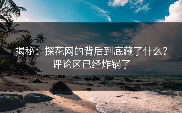 揭秘：探花网的背后到底藏了什么？评论区已经炸锅了