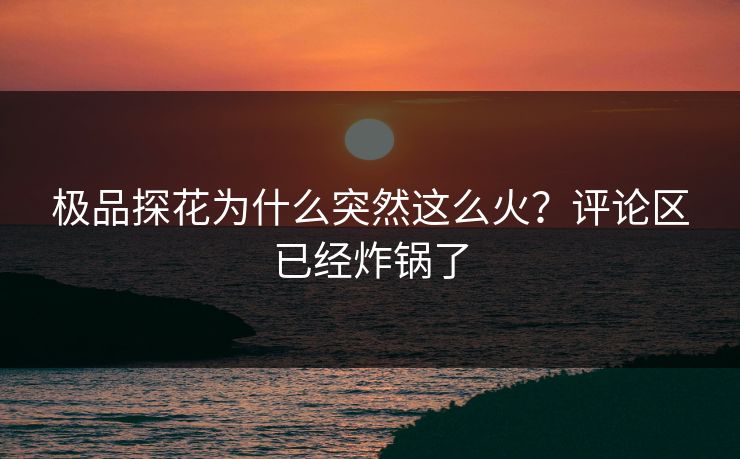 极品探花为什么突然这么火？评论区已经炸锅了