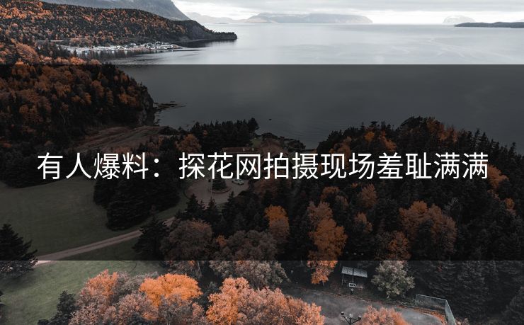 有人爆料：探花网拍摄现场羞耻满满