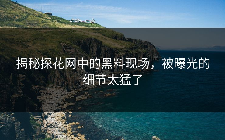 揭秘探花网中的黑料现场，被曝光的细节太猛了