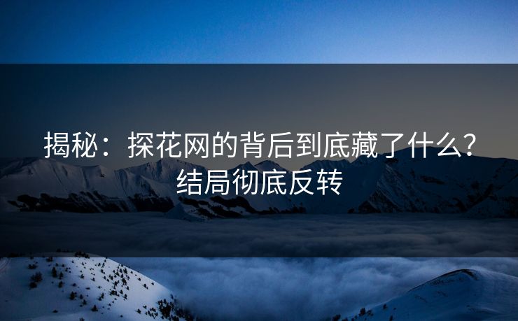 揭秘：探花网的背后到底藏了什么？结局彻底反转