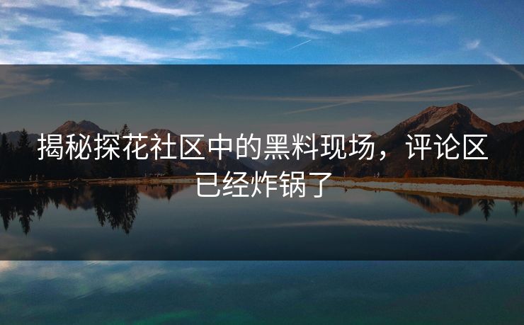 揭秘探花社区中的黑料现场，评论区已经炸锅了