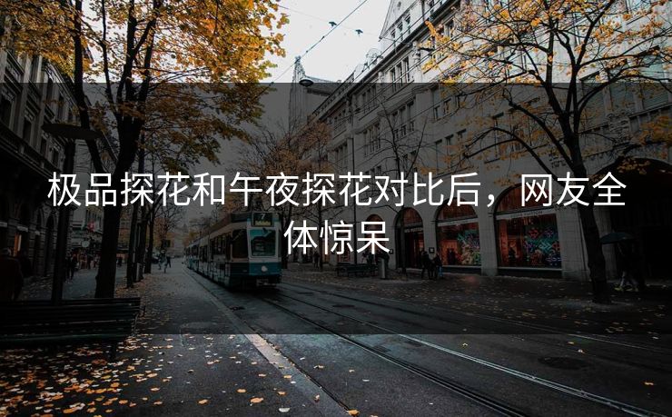 极品探花和午夜探花对比后，网友全体惊呆