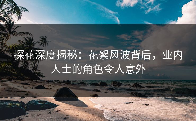 探花深度揭秘：花絮风波背后，业内人士的角色令人意外