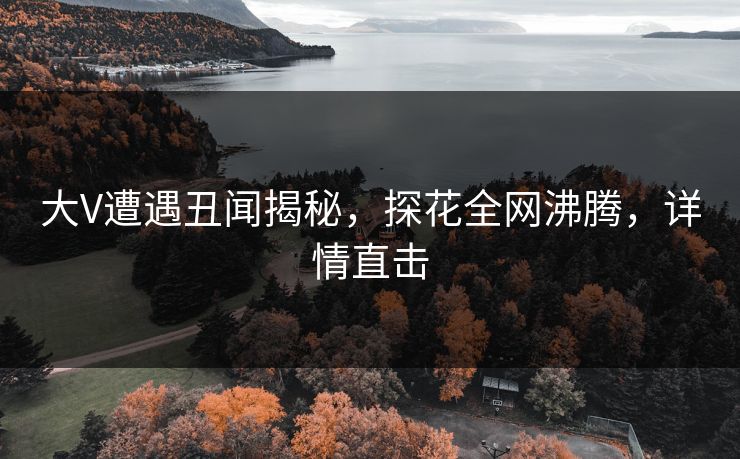 大V遭遇丑闻揭秘，探花全网沸腾，详情直击
