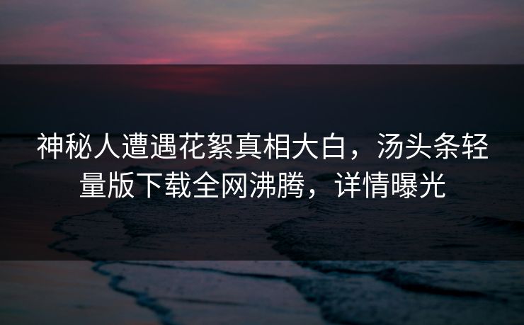 神秘人遭遇花絮真相大白，汤头条轻量版下载全网沸腾，详情曝光
