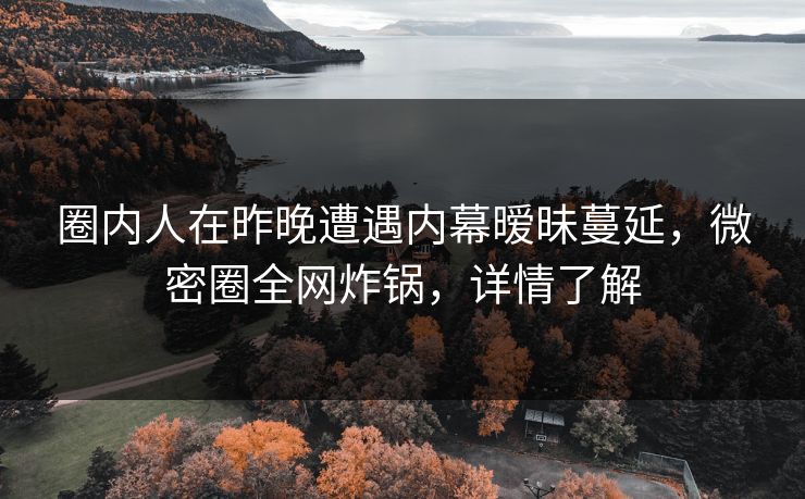 圈内人在昨晚遭遇内幕暧昧蔓延，微密圈全网炸锅，详情了解