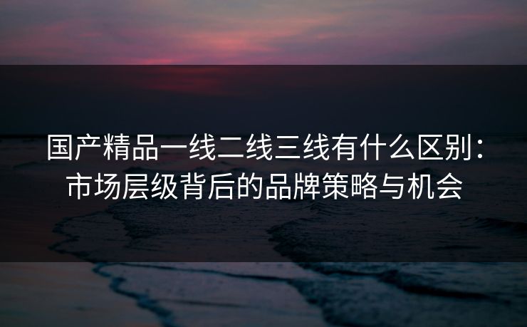 国产精品一线二线三线有什么区别：市场层级背后的品牌策略与机会