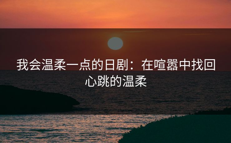 我会温柔一点的日剧：在喧嚣中找回心跳的温柔