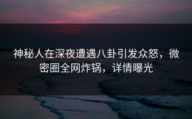 神秘人在深夜遭遇八卦引发众怒，微密圈全网炸锅，详情曝光