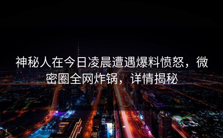 神秘人在今日凌晨遭遇爆料愤怒，微密圈全网炸锅，详情揭秘