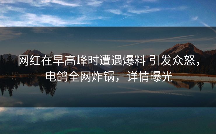 网红在早高峰时遭遇爆料 引发众怒，电鸽全网炸锅，详情曝光