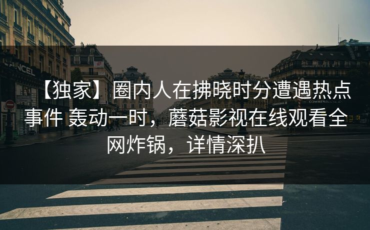 【独家】圈内人在拂晓时分遭遇热点事件 轰动一时，蘑菇影视在线观看全网炸锅，详情深扒