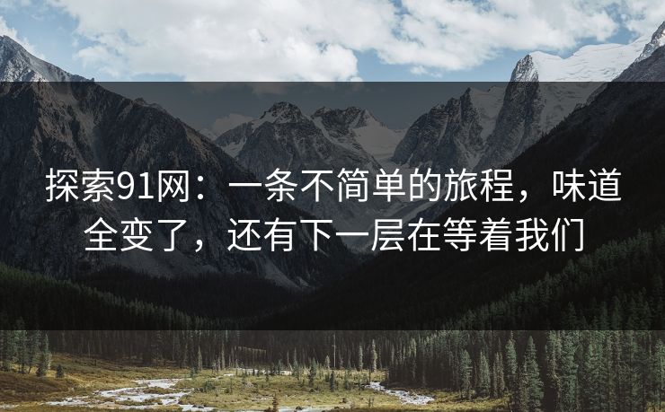 探索91网：一条不简单的旅程，味道全变了，还有下一层在等着我们